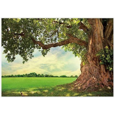 Buy Allenjoy Nature Spring Backdrop Rural Aged Tree Sunshine Sky Cloud ...