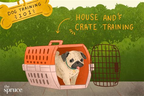 How to Train an Older Dog to Be Housebroken: Expert Tips and Techniques ...