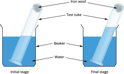 Intext activity 3 — task. Science State Board, Class 6.