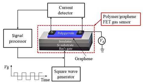 Enhanced Gas Detection by Altering Gate Voltage Polarity of Polypyrrole ...
