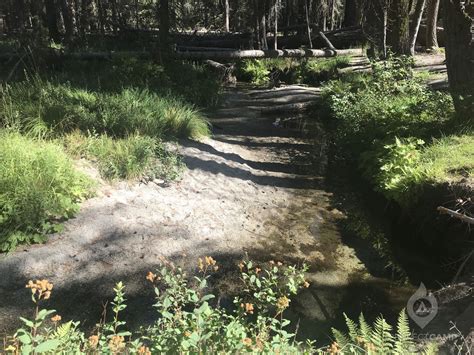 Tamarack Flat Campground, Yosemite National Park, CA - Latest Reviews ...