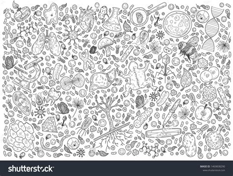Biology Doodle Art 的图像结果