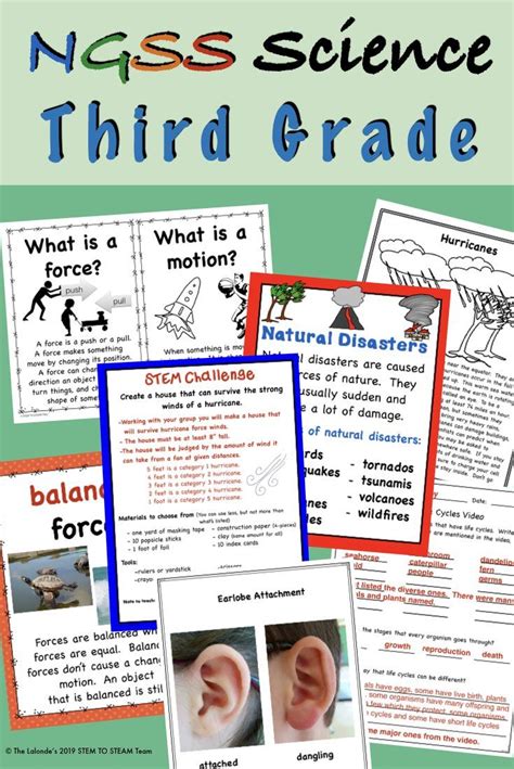 Image result for Grade 3 Science Class