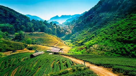 7 Seater Car Hire in Chiang Mai from ₹ 3,168/day | KAYAK