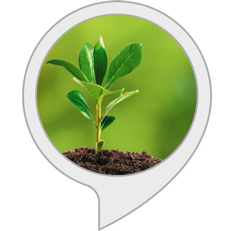 Amazon.in: Shocking Facts About Plants : Alexa Skills