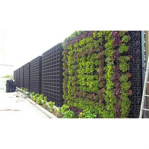 Vertical Green Wall & Garden - Vertical Green Wall Manufacturer Kolkata ...
