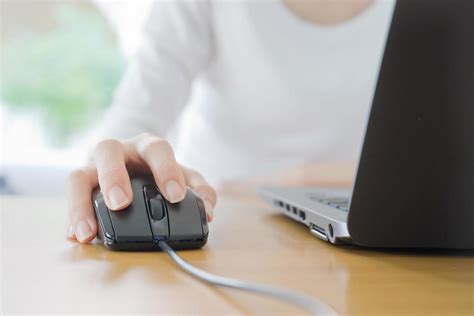 Image result for Input Data to Software