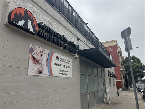 When Families Are Deported, Their Pets Are Left Behind. This Community ...