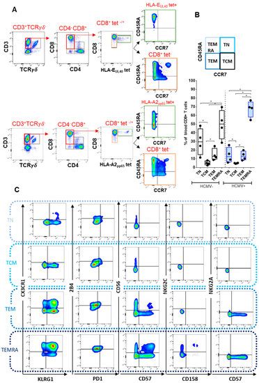 IJMS | Special Issue : Unravelling the Mysteries of Cytomegalovirus