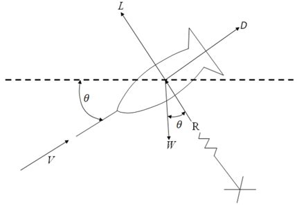 For the forces acting along the axis of the body or along the ...