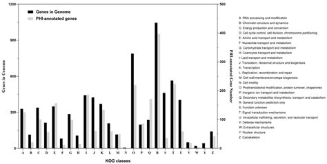 Genome-Wide Study of Conidiation-Related Genes in the Aphid-Obligate ...