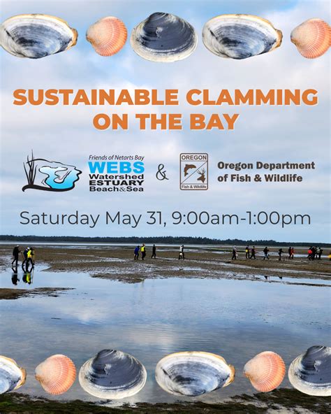 Sustainable Clamming on Netarts Bay - Pacific City