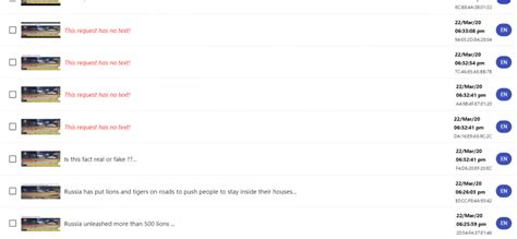 How Fake News on Putin Leaving 800 Lions in Russia's Streets Spread