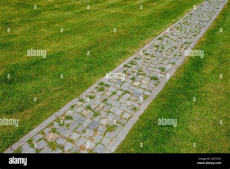 Walk Path 的图像结果