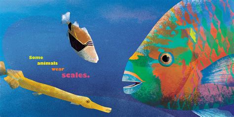 Feathers and Hair, What Animals Wear | Book by Jennifer Ward, Jing Jing ...