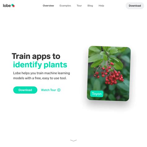 Tutorial Lobe 的图像结果