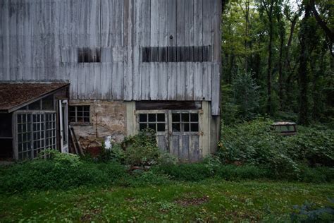 Image result for Back Yard EOS Tutorial