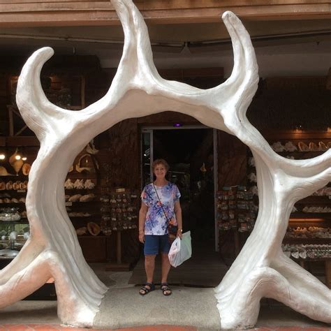 SHELL WORLD MUSEUM (2025) All You Need to Know BEFORE You Go (with ...