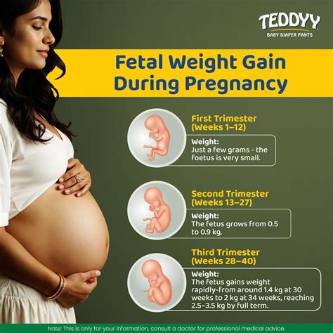 Fetal Weight Chart in Grams & Kg : How to Increase Fetal Weight