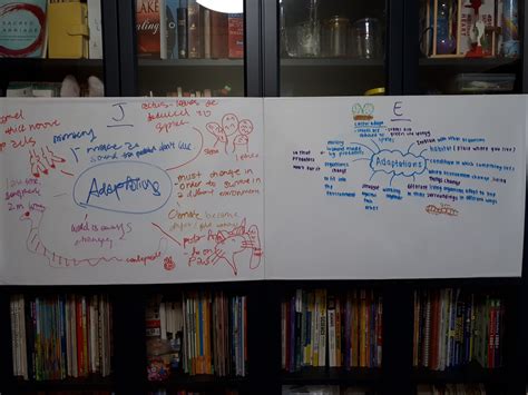 Classification Science P6 的图像结果