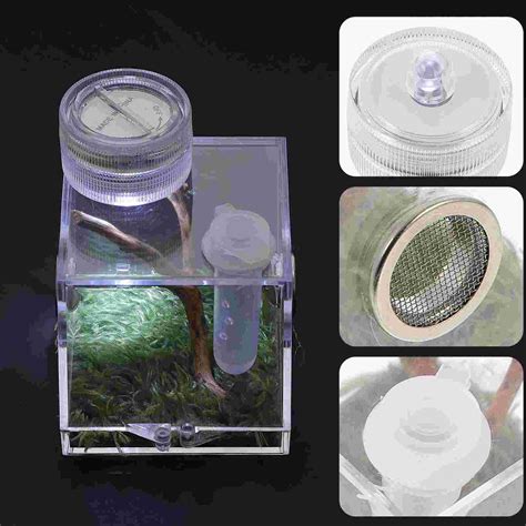 Spider Habitat Box Jumping Spider Breeding Case Sp... – Grandado