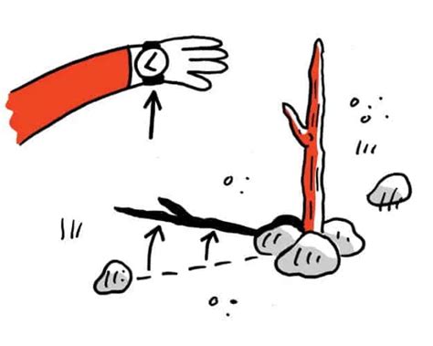 Image result for How to Tell Direction without Compass