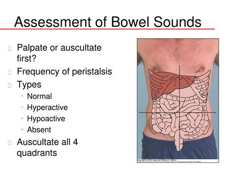 PPT - Physical Assessment: PowerPoint Presentation, free download - ID ...