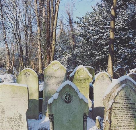 Winter Wonder - guided walk, Tower Hamlets Cemetery Park, Buckhurst ...