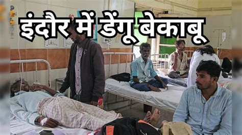 Dengue Fever: देश के सबसे स्वच्छ शहर में भी तेजी से फैल रहा है 'जानलेवा ...