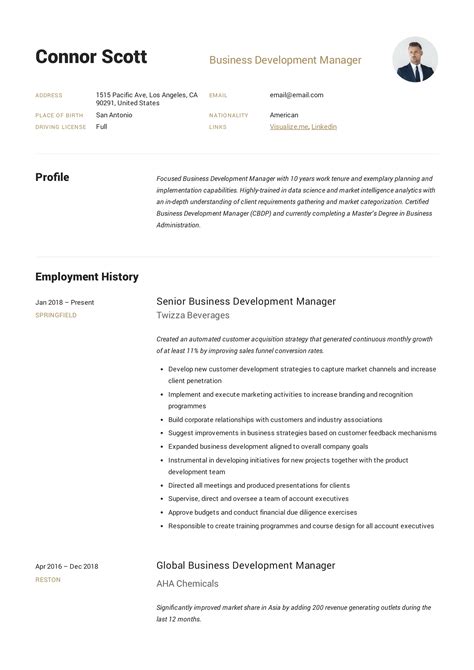 Business Development Manager Resume & Guide | 12 TEMPLATES | PDF