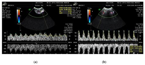 New Approaches to Assess Fertility in Domestic Animals: Relationship ...