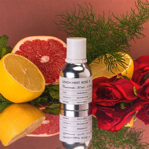 Diffuser Oil– Naso Profumi