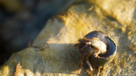 University of Basel’s marine biology excursion to the Strait of Gibraltar