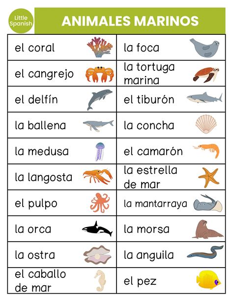 Sea Animals Names In Spanish at Carrie Maggie blog