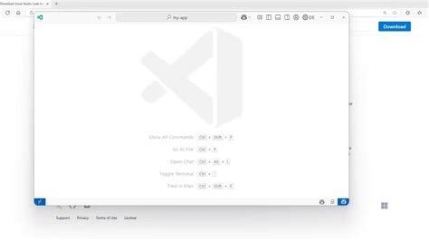 Image result for Visual Studio Code Insiders