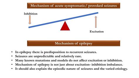 Basic mechanism of epilepsy | PPTX