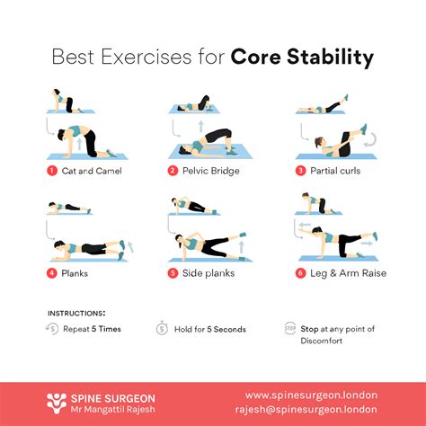Core Stability Exercises 的图像结果