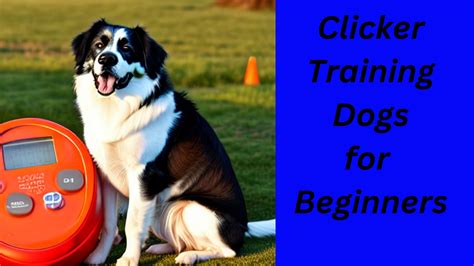 Image result for Dogs Clicker Training for Beginners