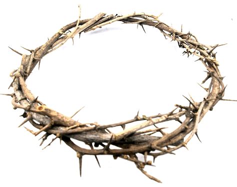 [100+] Jesus Crown Of Thorns Wallpapers | Wallpapers.com