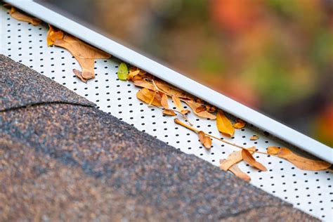 10 Types Of DIY Gutter Guards To Use In A Pinch