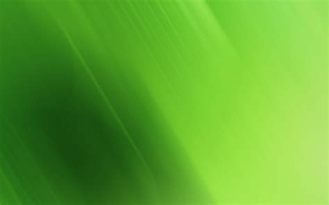 Green Wallpaper 的图像结果