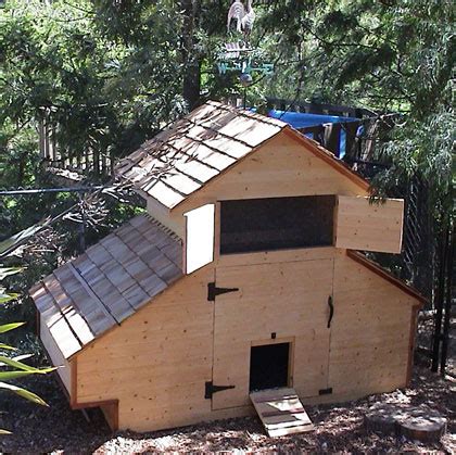 Chicken Condos.com 的图像结果