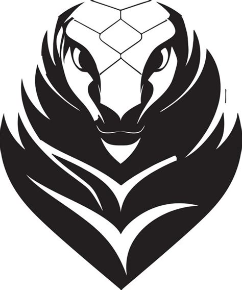 Image result for Programming Vector Drawing with Python