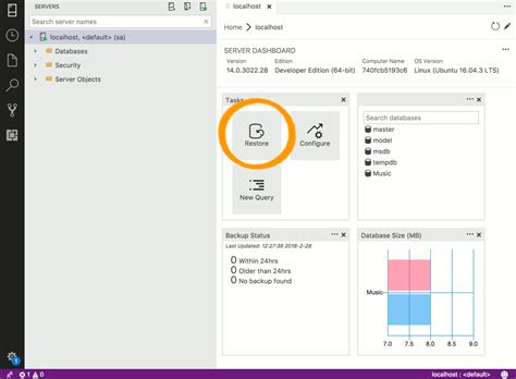 Image result for SQL Restore