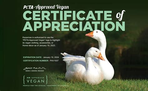 Buy KazarMax Kids Boys and Girls Black School Shoes -9 Kids UK at Amazon.in