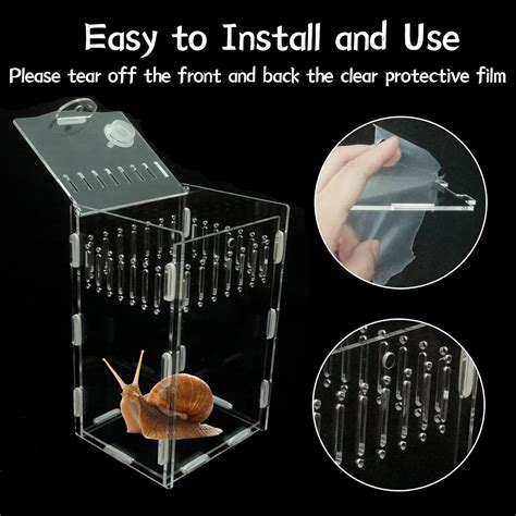 Buy 5x4x8 inch Magnetic Acrylic Reptile Case, Vertical Transparent ...