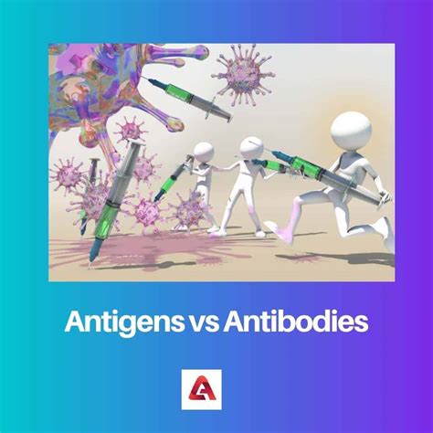 Antigens vs Antibodies: Difference and Comparison