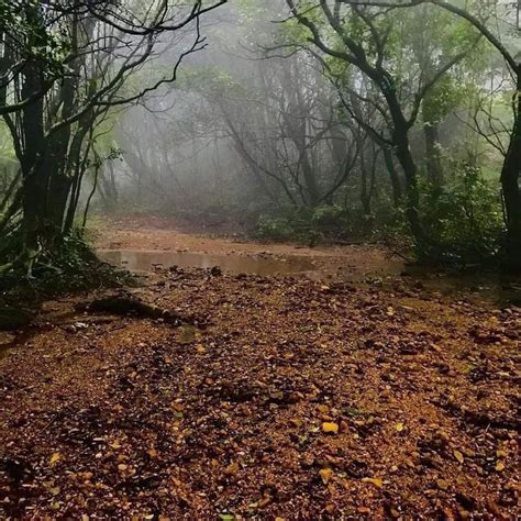 Image result for Mathale Driving Photos