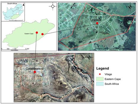 Prevalence and Diversity of Gastrointestinal Parasites and Tick Species ...