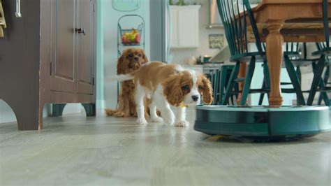 MTA Internet, TV, Phone Services in Wasilla, Alaska · MTA Alaska